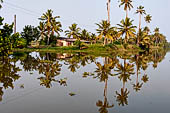 Kerala backwaters, our three hours neighborhood tour in the narrow canoe towards Vembanad Lake and along one of the  narrow canal running near our guest house at Kumarakom. 